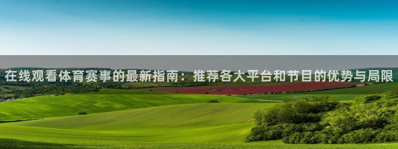 在线观看体育赛事的最新指南：推荐各大平台和节目的优势与局限