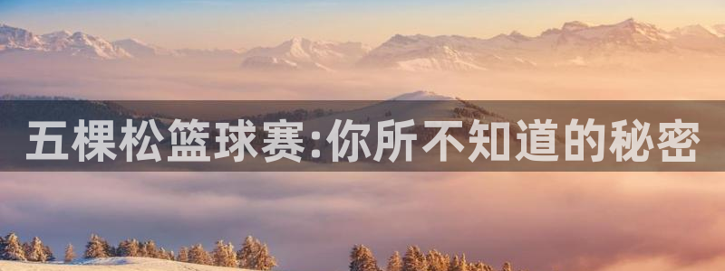 五棵松篮球赛:你所不知道的秘密