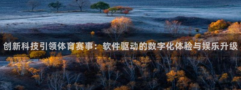 创新科技引领体育赛事：软件驱动的数字化体验与娱乐升级