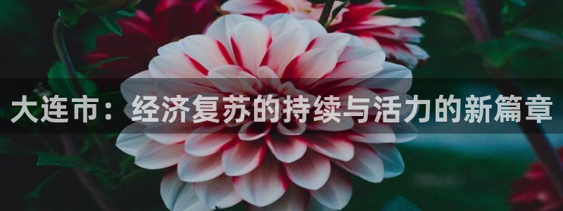 大连市：经济复苏的持续与活力的新篇章