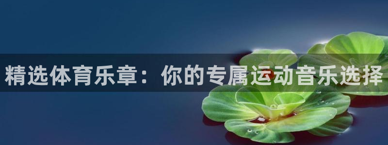 精选体育乐章：你的专属运动音乐选择