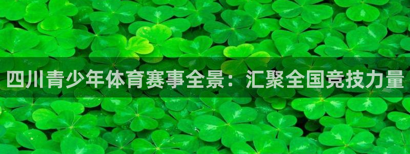四川青少年体育赛事全景：汇聚全国竞技力量