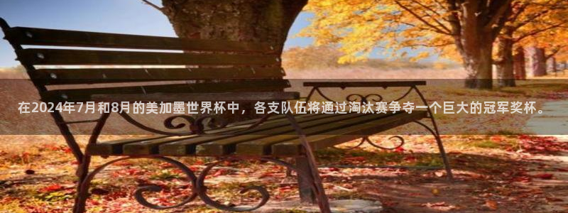 在2024年7月和8月的美加墨世界杯中，各支队伍将通过淘汰赛争夺一个巨大的冠军奖