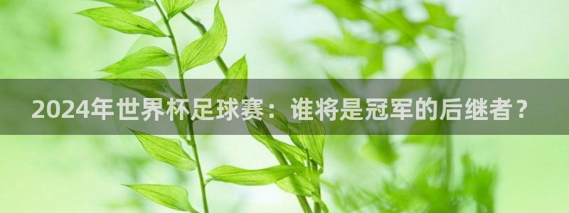 2024年世界杯足球赛：谁将是冠军的后继者？